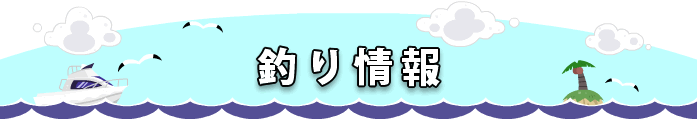 釣り情報